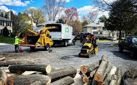 How Our Tree Care Process Works  in  Durant, IA