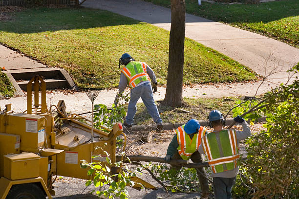 Mulching Services in Durant, IA